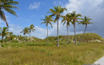 Hao : un complexe aquacole dans un lagon pollué ? 