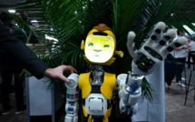 La quête au robot humanoïde ni trop humain, ni trop machine