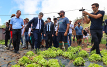 A La Réunion, l'agriculture dévastée après le passage du cyclone Belal