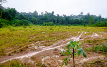 A La Réunion, des moyens aériens indispensables aux réparations des dégâts du cyclone Belal