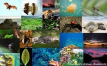 Les ONG appellent les citoyens européens à se mobiliser pour la biodiversité