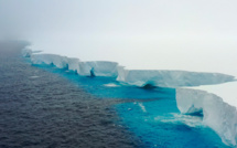 En Antarctique, le plus grand iceberg du monde à la dérive