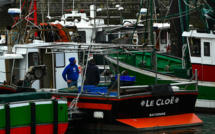 Golfe de Gascogne: interdiction de pêche inédite pour protéger les dauphins