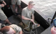 Brève rencontre du prince Harry avec un crocodile en Australie