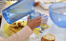 ​Des mites au menu d’une cantine de Arue