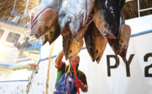 ​L’urgence d’un cadre clair pour les marins pêcheurs