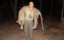 La Zambie réautorise la chasse aux lions et aux léopards