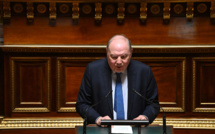 Loi immigration: après la censure, les sénateurs centristes relancent le débat