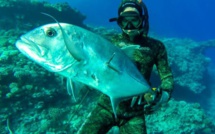 Oliver Emsallem - Pêcheur au fusil de l’extrême : Rencontre.