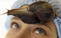 Extrait de raisin contre bave d'escargot: polémique cosmétique autour d'une publicité