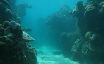 Samoa accueille un atelier sur les mines sous-marines