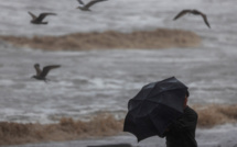 Une violente tempête en Californie provoque des crues "potentiellement mortelles"