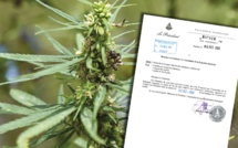 ​De la concurrence dans le cannabis thérapeutique