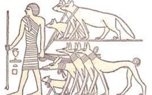 La domestication du chien remonterait à plus de 27.000 ans