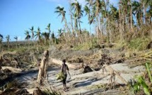 Préservation des forêts au service de la protection du climat : l’Océanie fait son bilan