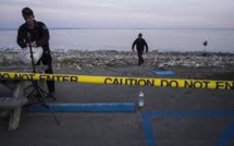 USA: Santa Barbara nettoie ses plages et évalue les dégâts de la marée noire