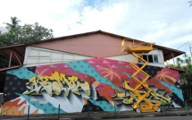 Papeete : deux cambrioleurs en série interpellés