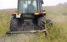 Le Parlement européen ouvre la voie aux "nouveaux OGM"