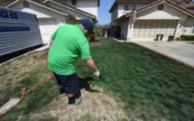Peindre l'herbe, la nouvelle mode californienne pour garder des pelouses vertes