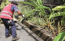 La dengue 2 à prendre au sérieux