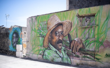 Guadeloupe: mobilisation des planteurs de canne à sucre pour revaloriser son prix