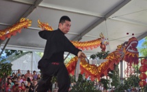 Plein succès pour la journée culturelle chinoise