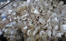 Canibal, la machine intelligente qui donne une deuxième vie au gobelet en plastique