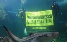 Grande barrière de corail: l'Unesco donne un an à l'Australie pour mieux la protéger