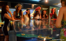 Les candidates à Miss Tahiti découvrent les secrets de la perle noire