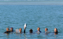 Une association mobilise les volontaires pour veiller sur nos récifs