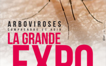 Dengue, zika, chikungunya : La grande expo qui piquera votre curiosité