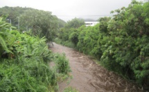 Recrudescence du nombre de cas de leptospirose