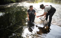 Les rivières britanniques dans un "état désespéré", selon une association