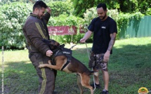 La brigade cynophile de Papeete accroît ses compétences