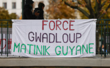 Chlordécone aux Antilles: les députés reconnaissent la "responsabilité" de l'Etat