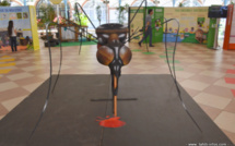 Moustiques et arboviroses : tout savoir en cinq espaces d'exposition
