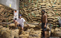 Huilerie de Tahiti : "de 8 à 12 mois" pour résorber le surstock de coprah (Riveta)