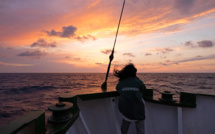 Traité pour protéger la haute mer: les ratifications doivent s'accélérer, plaident les ONG