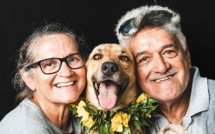 Feufeu à Bora, tout pour l’amour des bêtes