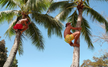 Démarrage en douceur pour le championnat de Tahiti des sports traditionnels