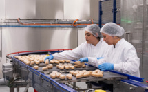 Substituts de viande: la start-up Umiami ouvre une première usine