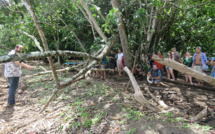 Un projet expérimental pour restaurer les écosystèmes littoraux