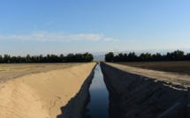 Californie: nouvelles restrictions d'eau pour les agriculteurs