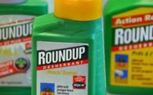 La CLCV salue l'interdiction de la vente du Roundup dans les jardineries