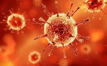 Coronavirus Mers : décès d'un Allemand, premier cas mortel en Europe en 2015