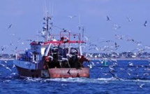 Pêche: la situation "plutôt favorable" pour le secteur en France