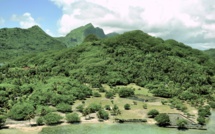 Des architectes évincés du projet Taputapuātea