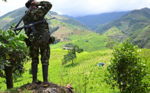 Colombie: vaste opération militaire contre la dissidence des FARC, au moins huit morts