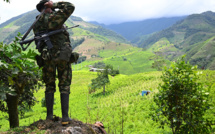 Colombie: vaste opération militaire contre la dissidence des FARC, au moins huit morts
