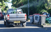 Les communes face à la dengue